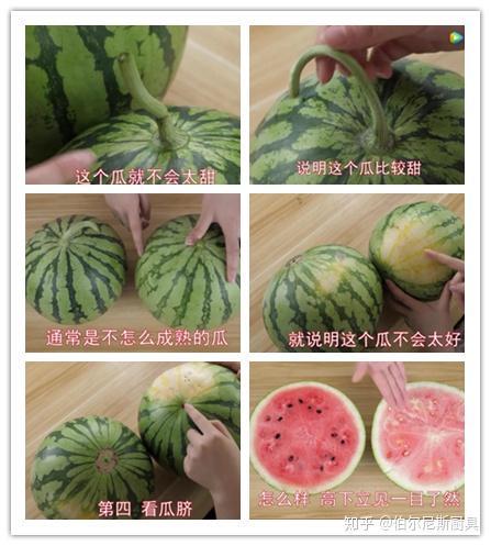 美丽吃瓜好看吗知乎免费阅读,知乎热门话题免费阅读指南 第2张 美丽吃瓜好看吗知乎免费阅读,知乎热门话题免费阅读指南 第2张